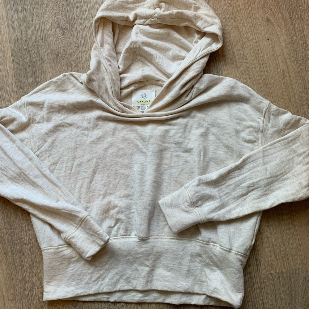 EUC Aerie offline crop top hoodie